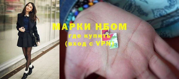 PSILOCYBIN Аша