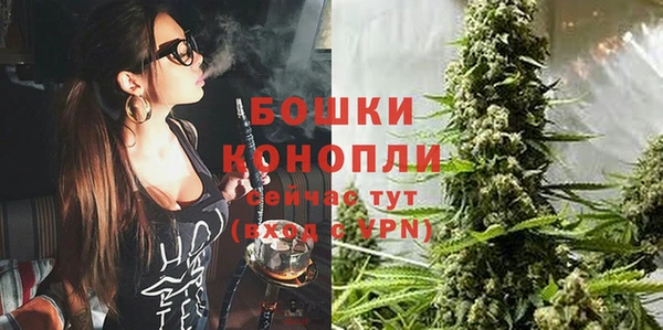 ALPHA-PVP Богородицк