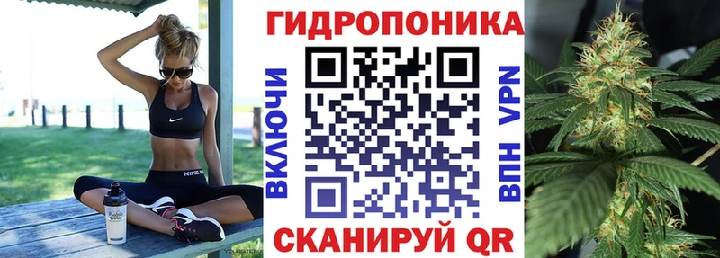 купить цена Вышний Волочёк Каннабис ГИДРОПОН